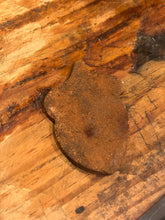 Load image into Gallery viewer, Ginger Bowl filler Acorn