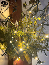 Load image into Gallery viewer, Warm Teeny Lights