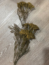 Load image into Gallery viewer, Golden Rod sprays