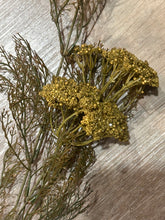 Load image into Gallery viewer, Golden Rod sprays