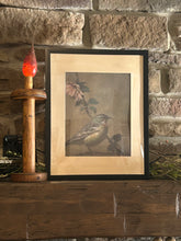 Load image into Gallery viewer, Songbird Vintage Framed Print