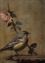 Load image into Gallery viewer, Songbird Vintage Framed Print